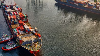 Only 5% of our foreign trade is handled by the national merchant navy, compared to 23% in 1985