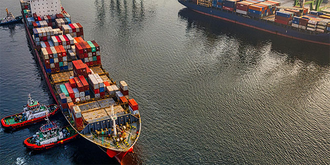 Only 5% of our foreign trade is handled by the national merchant navy, compared to 23% in 1985