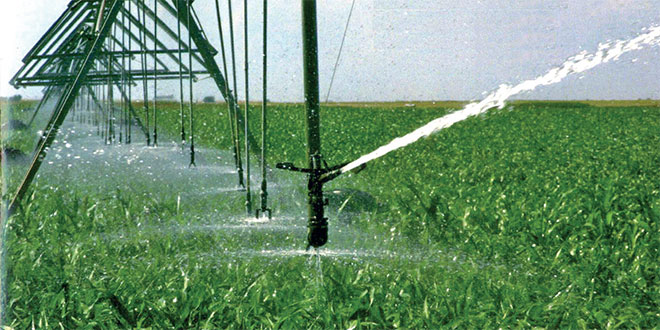 irrigation-068.jpg
