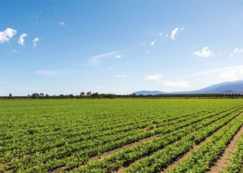 Land Grabbing: A Redistribution of Powers and Responsibilities